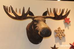 Trophy moose / Apercu n 1