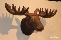 Trophy moose / Apercu n 3